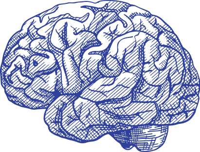 Brains