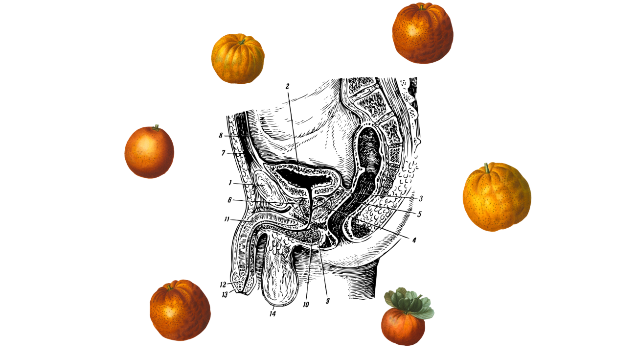 weetjes