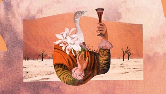 Wordt de volgende crisis een droogtecrisis?