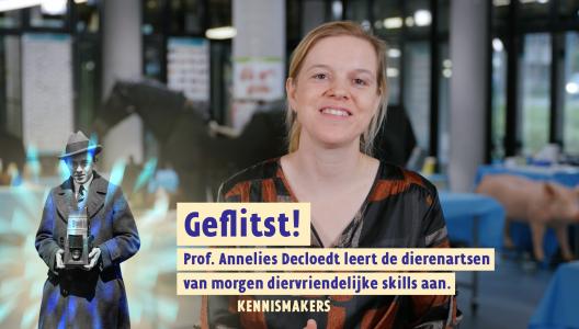 Geflitst! Met Annelies Decloedt