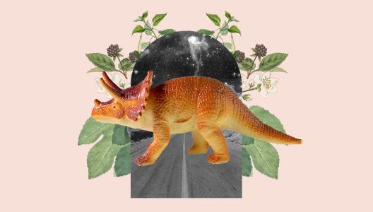 Tips over de dino's
