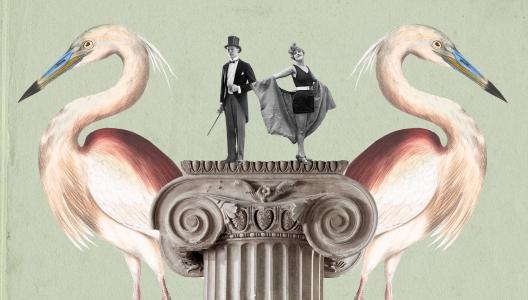 SOS Science: Bie Plevoets over de transformatie van architectuur